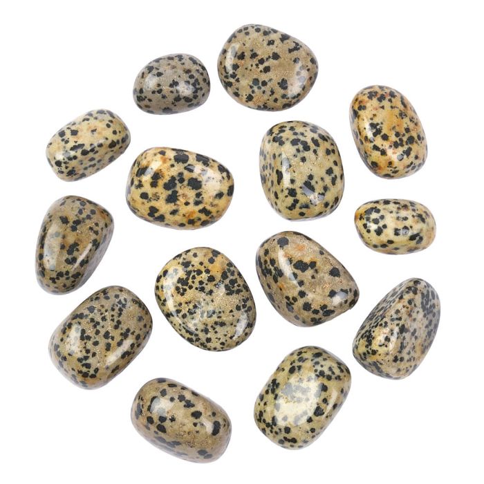 Jasper Dalmation (250g) 20-30mm Med Tumble NETT