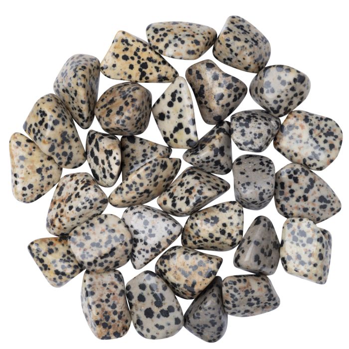 Jasper Dalmation (250g) 20-30mm Med Tumble NETT