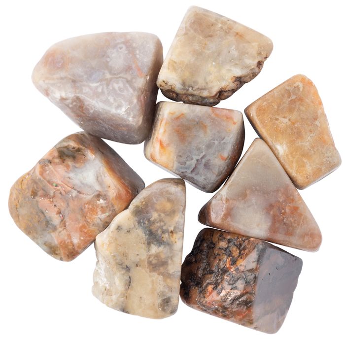 Coprolite Dinosaur poo 20 30mm Medium Tumblestone 100g from Rockshop Wholesale
