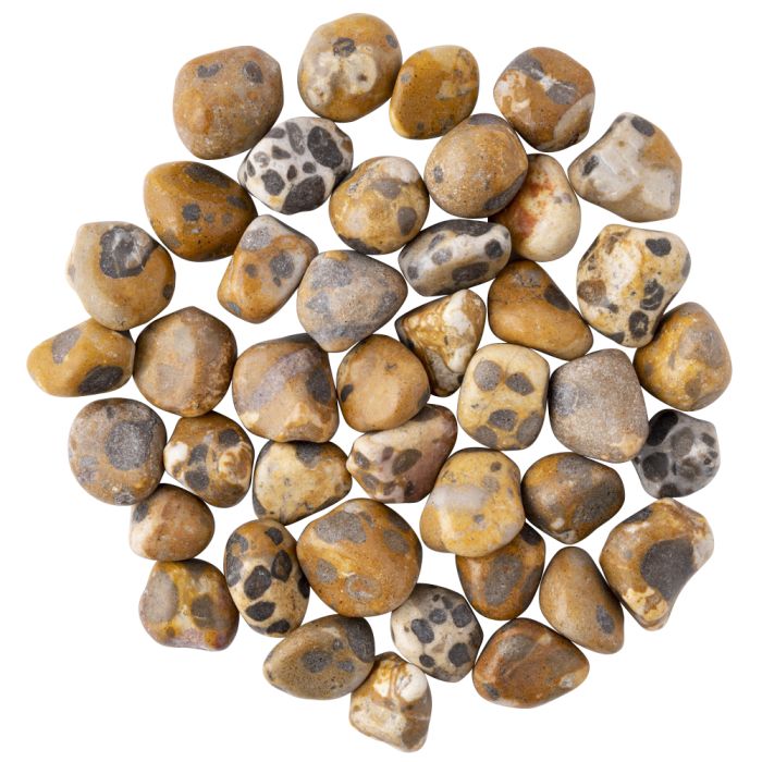 Jasper Leopard Small Tumblestone 10-20mm, India (250g) NETT