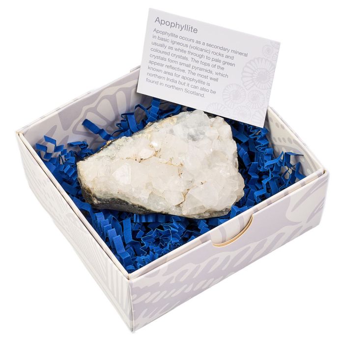 Apophyllite Clusters 3-4" in Gift Box India (1 Piece) NETT