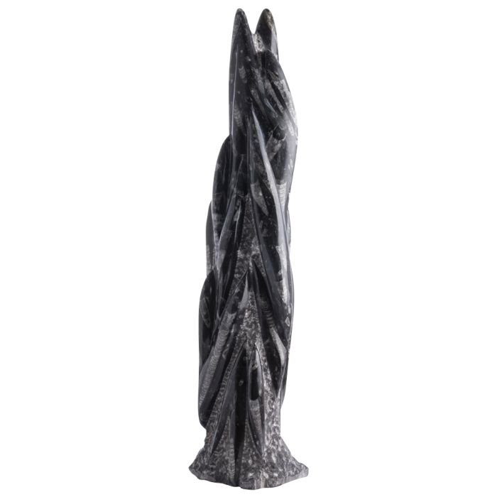Large (16"+) Freestanding Orthoceras Sculpture (1pc) NETT