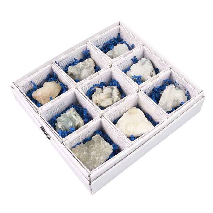 Apophyllite Clusters in Gift Box with ID Card (9pc) NETT