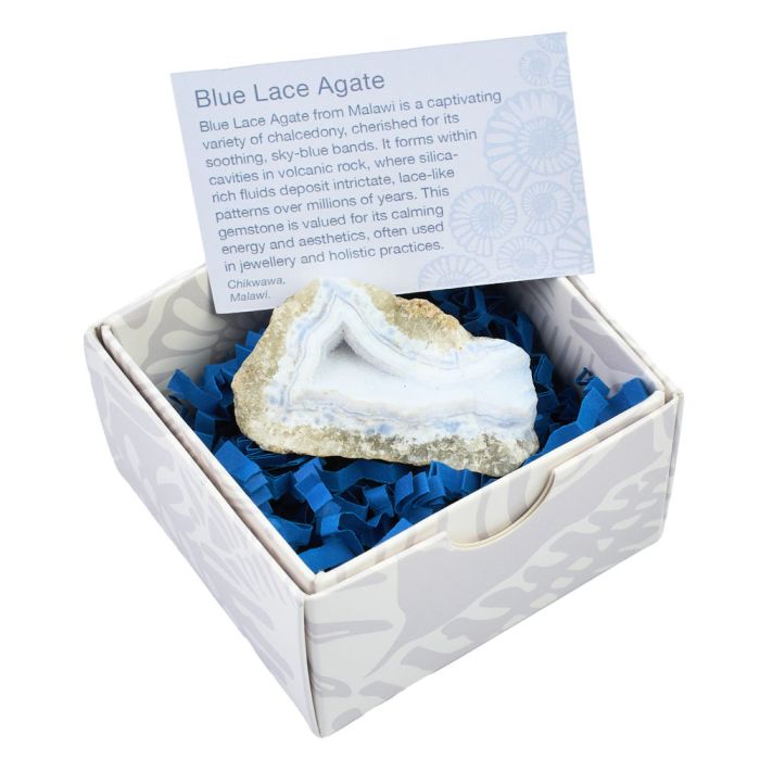 Rough Blue Lace Agate, XS, in Gift Box with ID Card (1pc) 