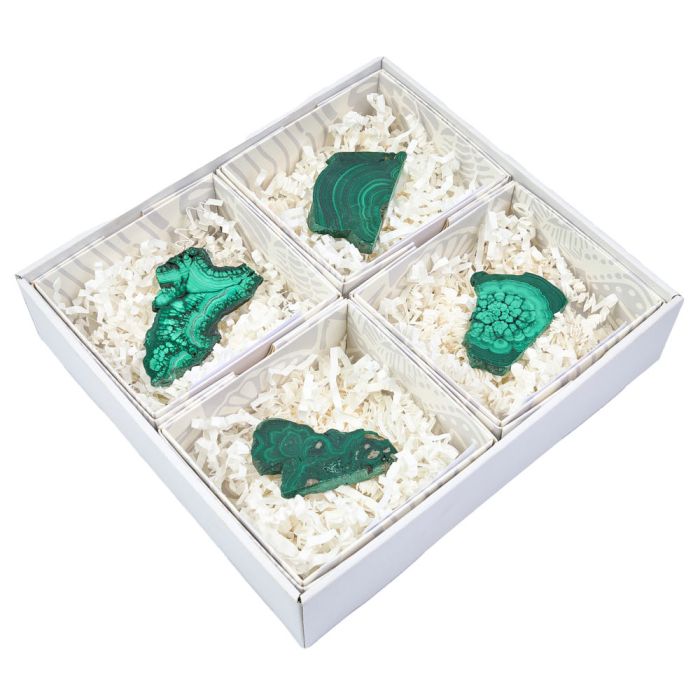 Malachite Slice in Gift Box, Large, (4pcs) NETT