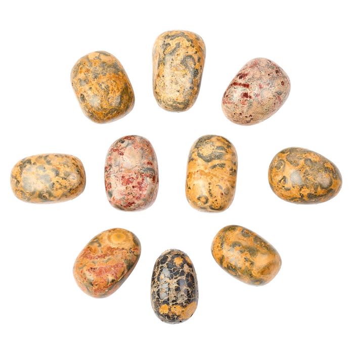 Leopard Skin Jasper Tumblestone Starter Pack Refill (10pc) NETT