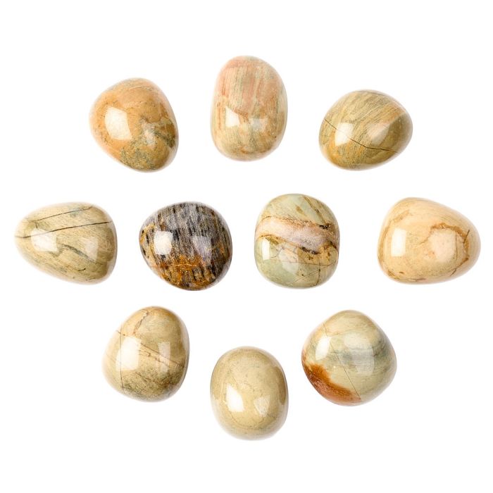 Silver Leaf Jasper Tumblestone Starter Pack Refill (10pcs) NETT