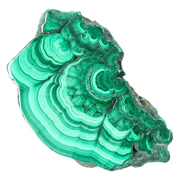 Malachite Slice in Gift Box (1pcs) 