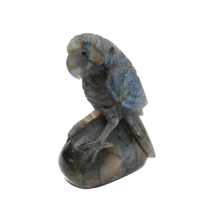 Labradorite Parrot Carving With Base (2.25x1.25x3.5") (1 Piece) SPECIAL