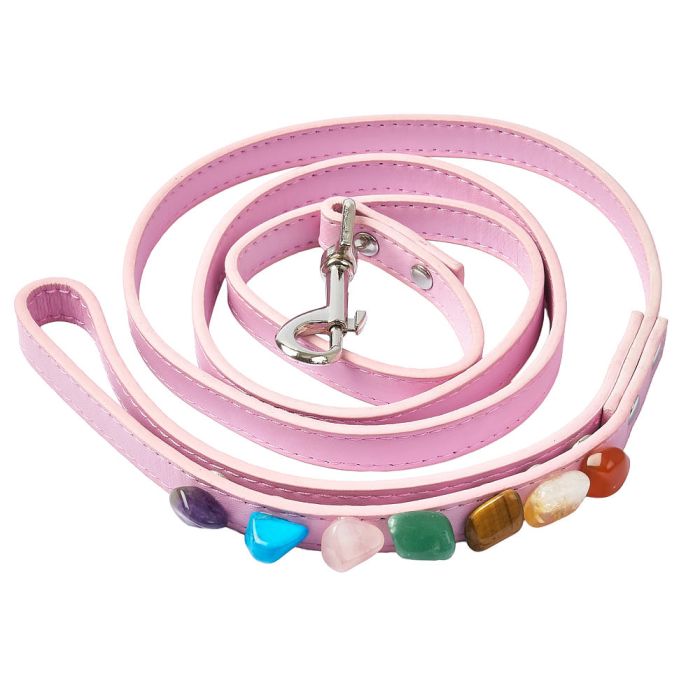 Pink Dog Lead Chakra (1pc) NFD