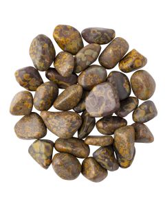 Ajooba Jasper Medium Tumblestone 20-30mm, India (250g) NETT