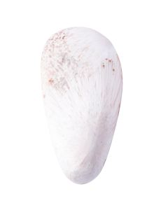 Pink Scolecite Tumblestone 8-10g, India (1pc) NETT