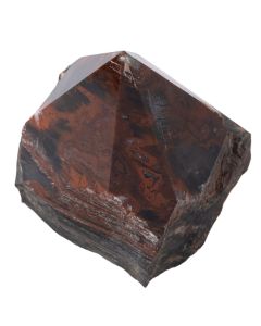 Petrified Wood Top Polished Point 100-200g, India (1pc) 