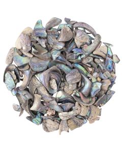 Abalone Tumbled Shell, Unsized (250g) NETT