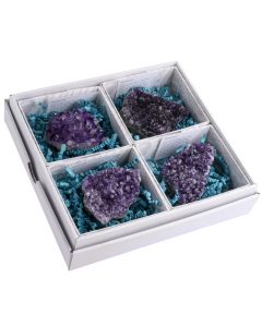 Amethyst Druze 1st Grade in Gift Box, Brazil (4pc) NETT