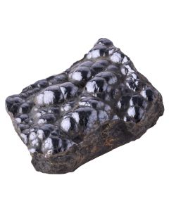 Polished Botryoidal Hematite Specimen 2.5-3cm, Morocco (1pc) NETT