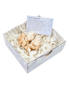 Cave Aragonite in Gift Box, Ighroud Mine, Medium, (1pc) NETT