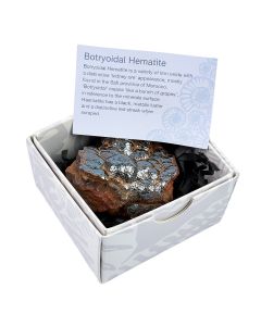 Polished Botryoidal Hematite in Gift Box, Medium (1pc) NETT