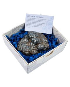 Polished Botryoidal Hematite in Gift Box, Large (1pc) NETT