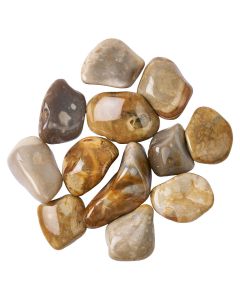 Crop Circle Stone (Flint) Tumblestones (by the gram)