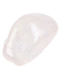 Danburite Tumblestone 21-23.99g/pc (1pc) NETT