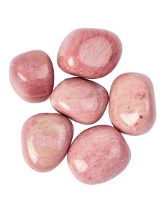 Pink Petrified Wood Tumblestones (20-30mm (100g)