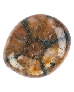 Chiastolite Smoothstone (1pc)