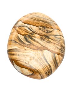 Picture Jasper Freeform Worry Stone (1pc)