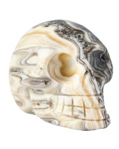 Banded Zebra Jasper Skull approx 60-70mm (A Grade) (1pc)