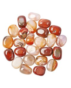 Carnelian Tumblestone Refill (25pcs)