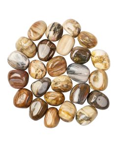 Petrified Wood Tumblestone Refill (25pcs)