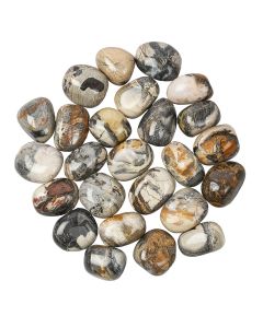 Silver Leaf Jasper Tumblestone Refill (25pcs)