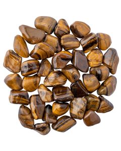 Gold Tiger Eye Tumblestone, South Africa (KGS) NETT