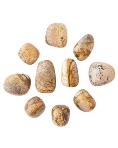 Picture Jasper Tumblestone Starter Pack Refill (10pc) NETT