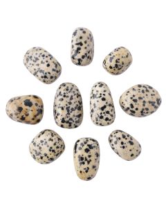 Dalmation Jasper Tumblestone Starter Pack Refill (10pc) NETT