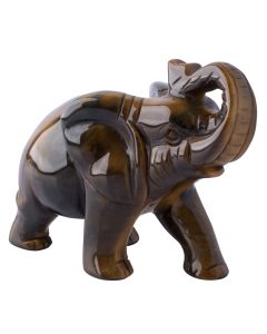 Tiger Eye Elephant Carving 4" (1pc) SPECIAL