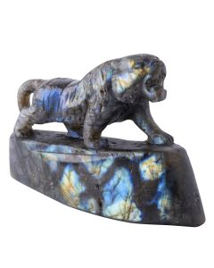 Labradorite Tiger Carving 4.25x2.75x1.25" (1 pc) NETT