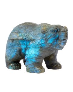 Labradorite Bear carving with fur 3.25x2x1.5" NETT