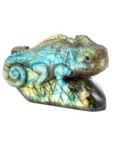 Labradorite Chameleon Carving 3x1.75x1.25" NETT