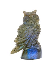 Labradorite Owl Carving with base 1.15x1x2.75" NETT