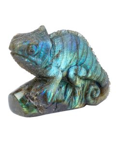 Labradorite Chameleon Carving 3"x 2"x 1" NETT