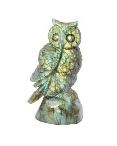 Labradorite Owl Carving 3.5" NETT