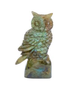 Labradorite Owl Carving with base 1.25x0.75x3.15 NETT