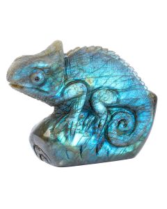 Labradorite Chameleon Carving 3x2.25x1" NETT