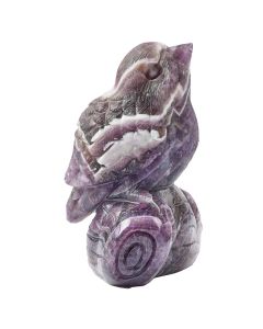 Dog Tooth Amethyst Bird Carving 3" (1pc) NFD