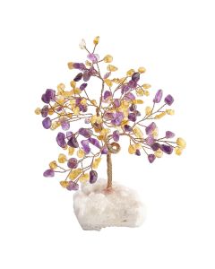 Amethyst and Citrine Gem Tree with Crystal base (1pc) NFD