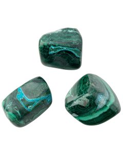 Malacholla Large Tumble 30-40mm DR of the Congo (100g) 