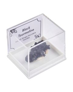 Black Tourmaline in Plastic box with ID card (1pc)