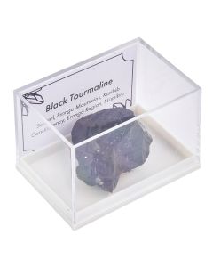 Black Tourmaline Specimen in Plastic box with ID card (1pc)