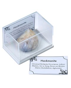 Hackmanite Tumblestone UV, in Plastic Box with ID card (1pc)